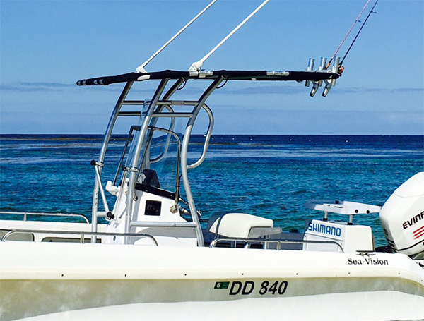 プロモーション! Dolphin pro2センターコンソール - Fishing Rod Holder のレビューと価格